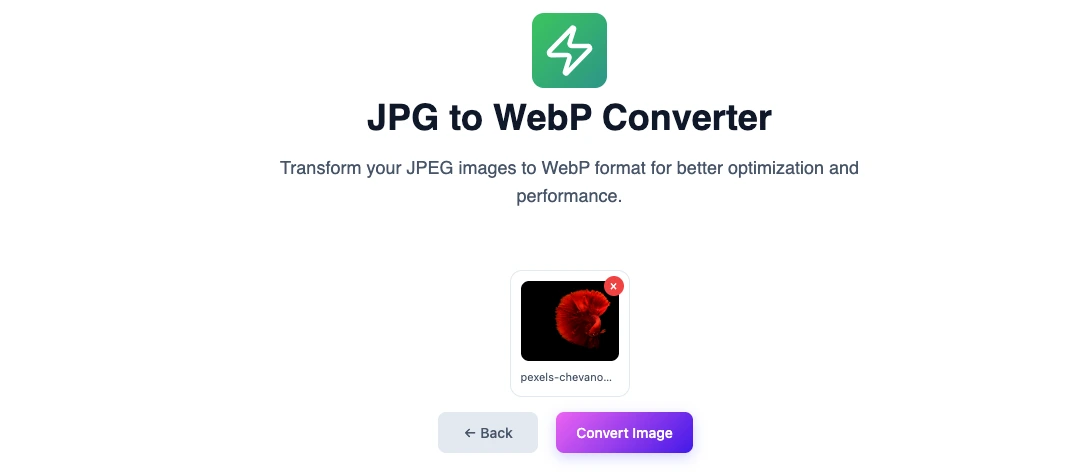 Online jpg to webp image converter