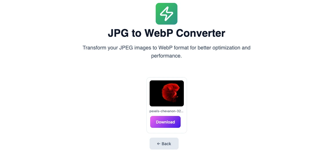 single jpg to webp image conversion