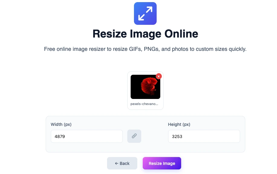 Resize JPEG online